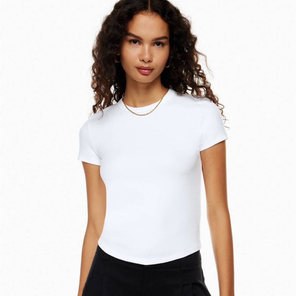 Aritzia Sunday Best little ribbed tee